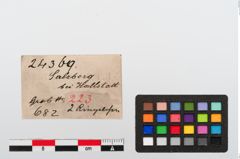 Etiketten zu Bronzering (NHMW-PRAE-024369)